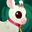 AceTheDog
