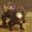 Horse pussy respect Steam avatar
