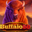 Buffalo 50