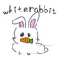 WhiteRabbit