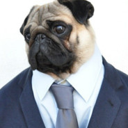 ThatPugInASuit