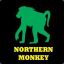 Northern Monkey