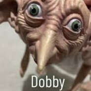 𝕯𝖔𝖇𝖇𝖞 ☁