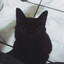 luc