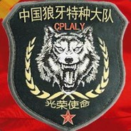 中国人民解放军