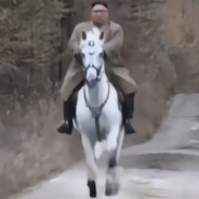 不开迈巴赫（太阳版）