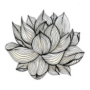 А Я ДУМАЛ СОВА