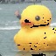 spopon