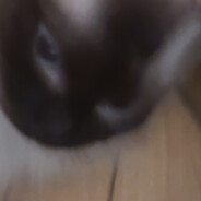 Dafitcz