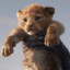 Simbajp2