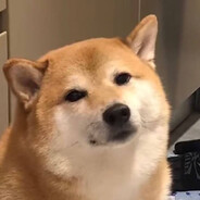玩家头像