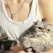 РП в потолок