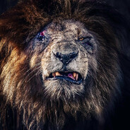 KINGG05 - steam id 76561199474474678