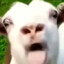 Rero Rero Rero