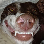 AXish - steam id 76561198185589979