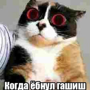 оолололололололо