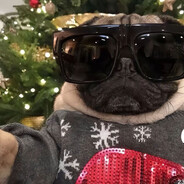 мне пох я мопс