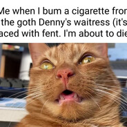 Fe!n!ng_Fent-Mon$ter