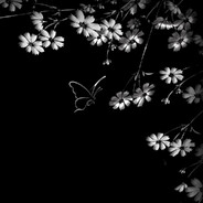 .// - steam id 76561198375512655