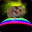 Magic Hamster @ No Nuts :.(