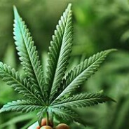 Skatteetaten#Rustyloot.com