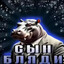 СЫН БЛЯДИ