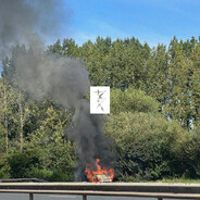 ellis - steam id 76561198283227548