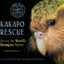 Kakapo