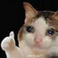 JIJIJIJI