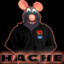 HACHE