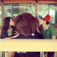 Dream flower also dream you