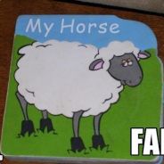 FAIL - steam id 76561197965532671