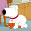 Brian Griffin