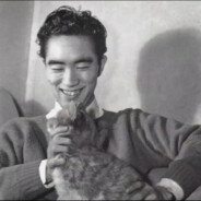 怀龍术数理春華