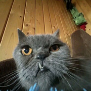 Ефрейтор Евгений