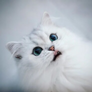 我本无心，何来负心