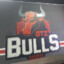 Bulls