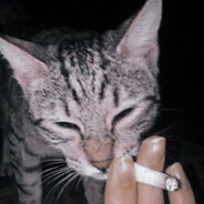 Beelcebú