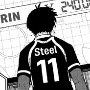 Steel