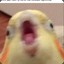 ??_??