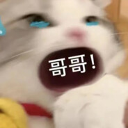 dididididididididididididididi