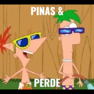 Pinas & Perde