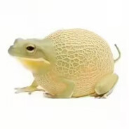 哈密呱