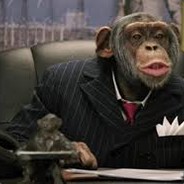 the_real_business_monkey