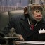 the_real_business_monkey