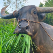 你醒了，刚才我一梭子打了17点伤害给你气晕了