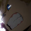 Kite
