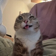 mohdd