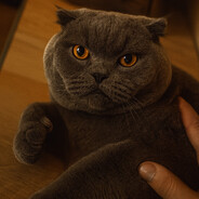 fedkat avatar