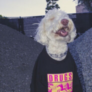 Дамский угодник